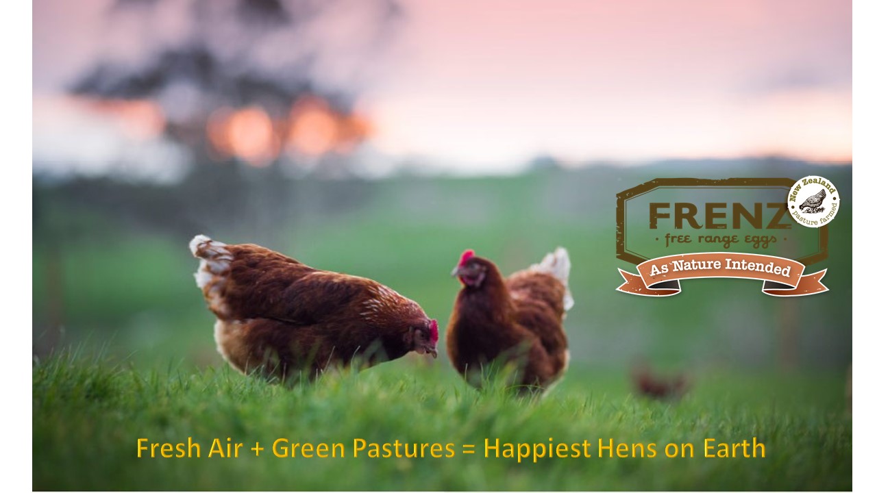 FRENZ, Free-Range Organic Eggs (Large) pack of 10 eggs (Chill) “ETA maybe April ”