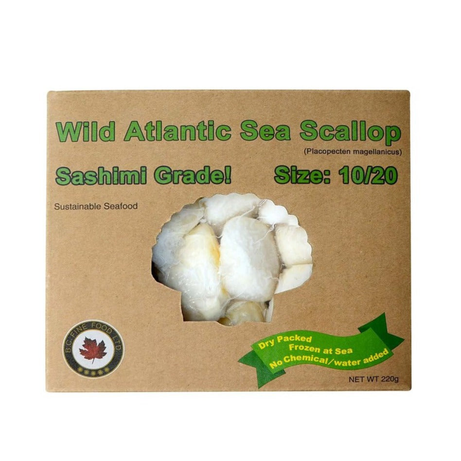 BC FINE FOOD, Wild Canadian Atlantic Sea Scallop 220g (Frozen)